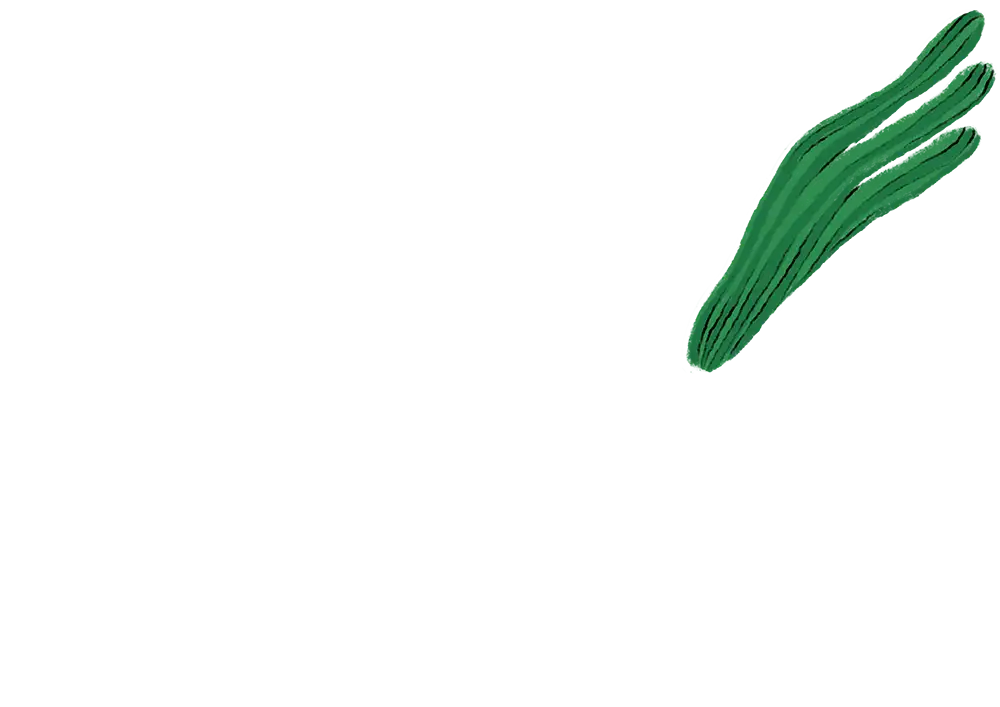 Крыло левое